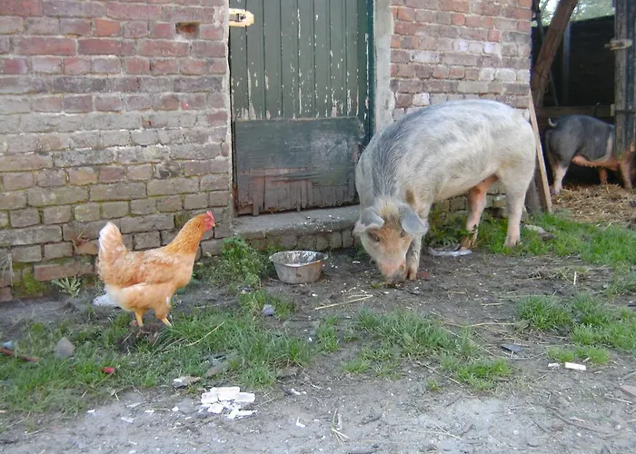 Farm Stay Luythoeve