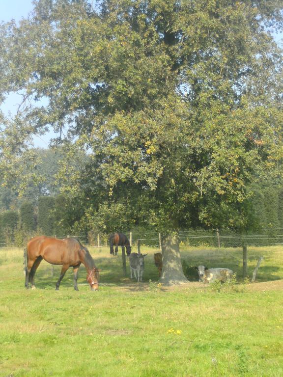 Farm Luythoeve Farm stay *