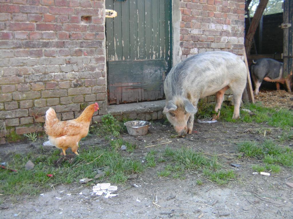 Farm stay Farm Luythoeve Meeuwen