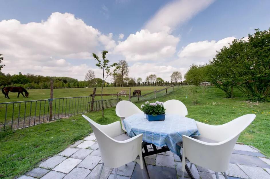 Farm Luythoeve Farm stay